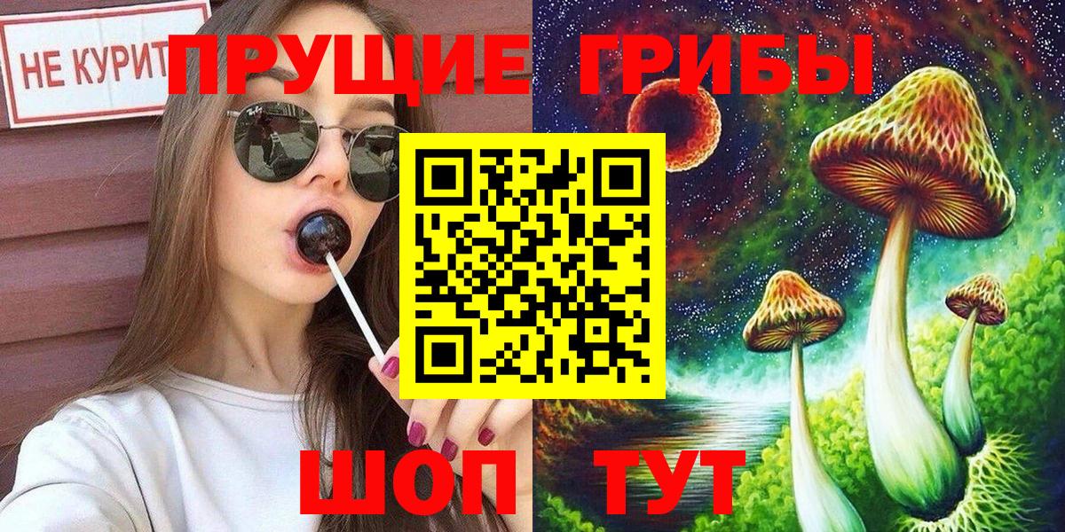 Кольчугино  купить закладку  Вход с VPN  Псилоцибиновые грибы мицелий 