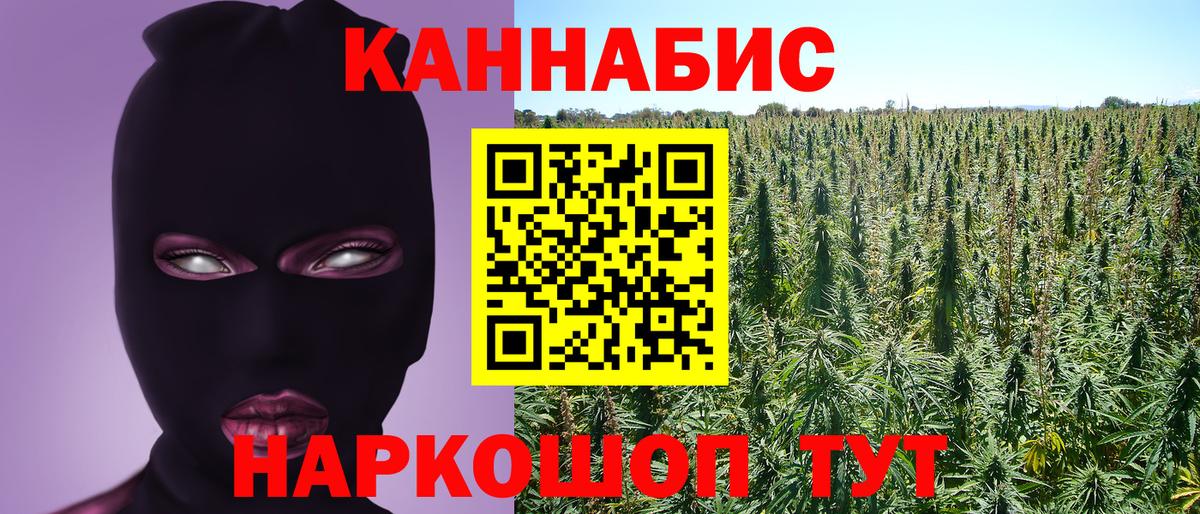 Шишки марихуана конопля Кольчугино